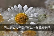 四川电大文凭可以考教师编制吗-四川电大