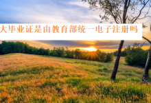 四川电大本科和专科的毕业证书均由教育部统一电子注册吗-四川电大